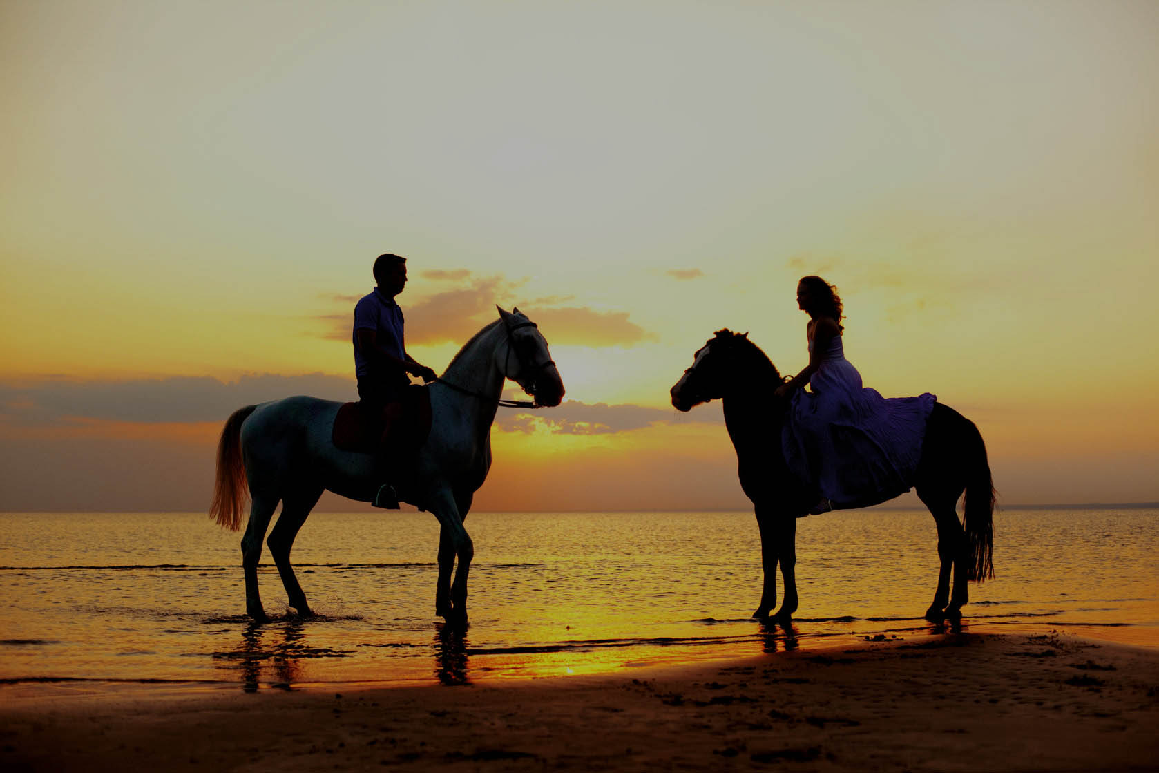 Horse Riding