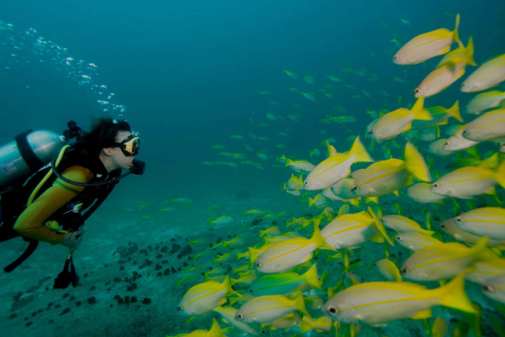 Scuba Diving